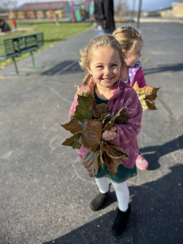 Preschool students gather leaves for a fun classroom project.